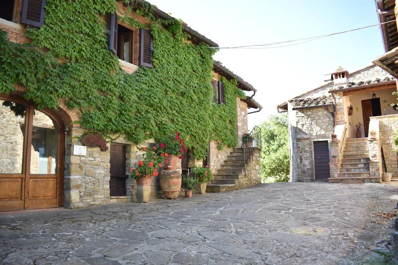 Agriturismo Il Santo Greve in Chianti
